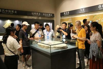 朝陽(yáng)鳥(niǎo)化石國(guó)家地質(zhì)公園 在“古生物的搖籃”探索史前世界